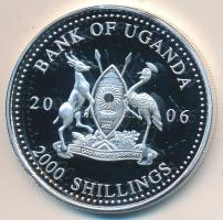 Uganda 2006. 2000Sh Ag "A labdarúgás halhatatlanjainak csarnoka - Brazília 2000-es évek / Roberto Carlos" T:PP Uganda 2006. 2000 Shilling Ag "Hall of Fame of football - Brazil 2000s / Roberto Carlos" C:PP