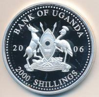 Uganda 2006. 2000Sh Ag "A labdarúgás halhatatlanjainak csarnoka - Franciaország 1980-as évek/Michel Platini" T:PP Uganda 2006. 2000 Shilling Ag "Hall of Fame of football - France 1980's/Michel Platini" C:PP
