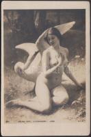 Erotic nude art postcard, Leda with goose s: A. Chantron (EB)