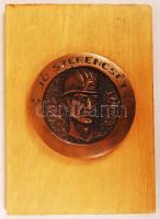 R. Kiss Lenke (1926-2000): Jó szerencsét! Bronz plakett fára erősítve, jelzett, d:10 cm