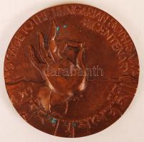 Csíkszentmihályi Róbert (1940-): Kőrösi Csoma Sándor. Bronz, számozott: 108/108, jelzett, két oldala...