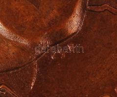 Csíkszentmihályi Róbert (1940-): Kőrösi Csoma Sándor. Bronz, számozott: 108/108, jelzett, két oldala...