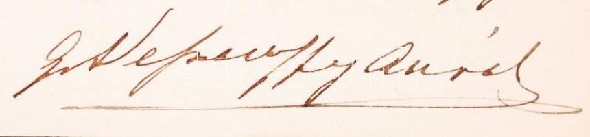 1884 Dessewffy Aurél (1846-1928) az utolsó országbíró, az MTA tagja saját kézzel írt levele vasúti ügyben