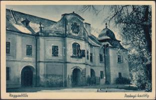 Nagyszőllős, Perényi-kastély / castle