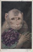 Ein Gruss, Theo Stroefer M. K. 20 s: Gabriel von Max