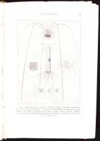 1911 A Természettudományi közlöny komplett évfolyama Gottermayer féle, kissé sérült egészvászon köté...