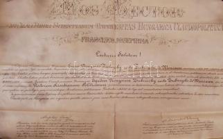 1898 Pergamen államtudományi diploma szép állapotú viaszpecséttel