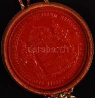 1898 Pergamen államtudományi diploma szép állapotú viaszpecséttel