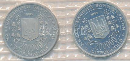 Ukrajna 1995. 200.000K Cu-Ni "2. Világháború végének 50. évfordulója" + 200.000K Cu-Ni "2. Világháború - Kijevi Emlékmű" T:P Ukraine 1995. 200.000 Karbovantsiv Cu-Ni "50th Anniversary - End of World War II" + 200.000 Karbovantsiv Cu-Ni "World War II - Monument at Kiev" C:P