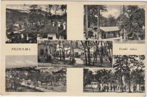 Piliscsaba, Északi tábor (EK)