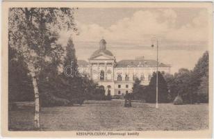 Kistapolcsány, Főhercegi kastély / castle (kis szakadás / small tear)