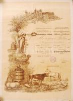 1911 Németszentmiklós Tenyész szarvasmarha és ló díjazás dekoratív díj-oklevél / 1911 Decorative certification 40x60 cm
