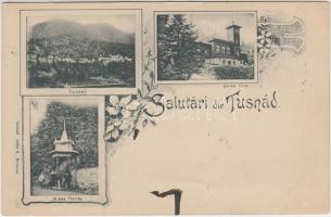 1899 Tusnád, Mike forrás, Emma villa, Adler / fountain, villa, floral