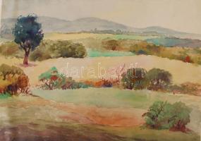 Entz jelzéssel: Balaton felvidék. Akvarell, papír, 30×42 cm