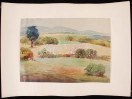 Entz jelzéssel: Balaton felvidék. Akvarell, papír, 30×42 cm