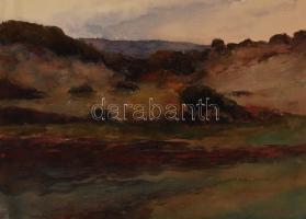 Jelzés nélkül: Almádi. Akvarell, papír, jelzett, 30×42 cm