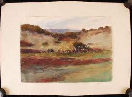 Jelzés nélkül: Almádi. Akvarell, papír, jelzett, 30×42 cm