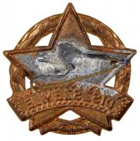 1955. Díszszemle "1945-1955. április 4." zománcozott kitüntetés T:2