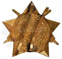 ~1970. "Aknakutató" zománcozott jelvény T:2