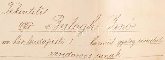 1912 Budapest ezredesorvos kinevezése főtörzsorvossá. Magyar Királyi Honvédelmi Miniszter száraz pec...