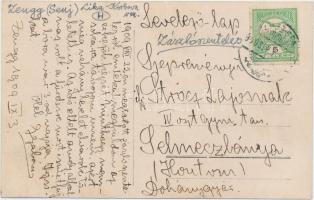 1909 Senj, Zengg; zászlószentelés / flag inauguration, shops, photo