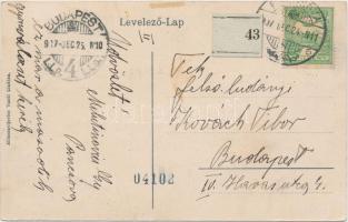 Pancsova, Hajóállomás, Miloszavljevics Vazul kiadása / ship station (gluemark)