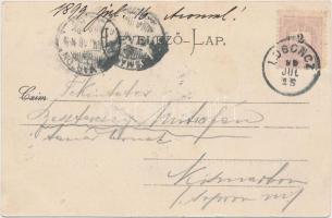 1899 Zsigmondháza, Vág völgye, Gansel Lipót kiadása / River (EK)