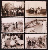 cca 1939-1950 6db fotó a vidéki életről, (cséplés, szüret, lovaskocsi), 9x 6 cm