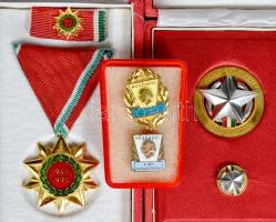 1970. "Felszabadulási Jubileumi Emlékérem" zománcozott kitüntetés mellszalaggal, szalagsávval, miniatűrrel tokban + ~1970. "Kisipari Szövetkezet Kiváló Dolgozója" kitüntetés miniatűrrel tokban + ~1980. "Hűséggel a nép egészségéért" arany és bronz fokozat, tűz- és hidegzománcozott kitüntetések plasztik tokban T:1,2