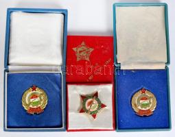 ~1960. "Munkásőr" szolgálati zománcozott aranyozott jelvény 5 év szolgálat után, tokban + "Kiváló Munkásőr" zománcozott aranyozott jelvény tokban + "Munkásőr Kiváló Parancsnok" zománcozott aranyozott kitüntető jelvény tokban T:2