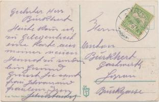 Karánsebes, Takarékpénztár palotája, Severineana kereskedelmi társaság / palace of savings bank, sho...