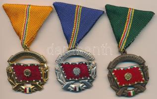 ~1960. "A Haza Szolgálatáért Érdemérem" arany, ezüst és bronz fokozata mellszalagon T:1-,2