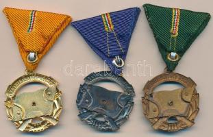 ~1960. "A Haza Szolgálatáért Érdemérem" arany, ezüst és bronz fokozata mellszalagon T:1-,2