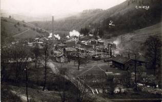 Románia Chirsa Foto AK