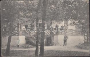 Borszékfürdő, Máté villa / villa (fa)