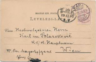 1897 Pápa, Irgalmas nővérek zárdája, dohánygyár, floral