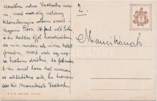 Cats and parrot, T.S.N. Serie 1432. s: C. Reichert