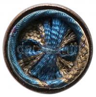 Szerbia 1921. "Szent Száva Rend II. Osztálya" gomblyukjelvénye T:2
Serbia 1921. Miniature ...