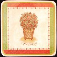 Villeroy&Boch 4 db dekoratív parafa poháralátét eredeti csomagolásban