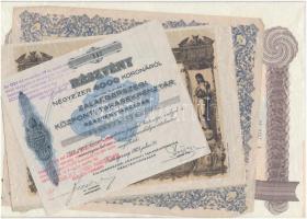 Budapest 1906. "Pesti Hazai Első Takarékpénztár-Egyesület Nyeremény-Szelvény" + Zalaegerszeg 1923. "Zalaegerszegi Központi Takarékpénztár Részvénytársaság" részvénye 4000K-ról +  	 Budapest 1946. "A Magyar Köztársaság 4%-kal kamatozó, búzaértékben megállapított államadóssága - Államadóssági kötvény 100kg, azaz Egyszáz kg búza pénzbeli egyenértékéről" +  	 Budapest 1991. "Isolyth-STM Üveggyapot Rt." részvénye 10.000Ft-ról T:I-,II,III
