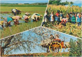 91 db MODERN külföldi városképes lap pár motívummal; spanyol, portugál, svéd, norvég / 91 modern for...