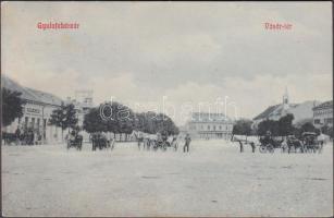 Gyulafehérvár, Vásár tér, Fürst M. Dávid üzlete / square, shop (fl)