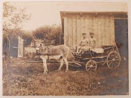 cca 1910 Komárom, Gyerekek szamárfogaton, 23x17 cm