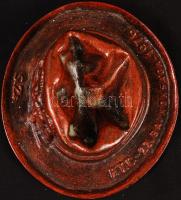 S.SZ jelzéssel: "FTC 22. bajnoksága 1976" bronzírózott fém, d:15 cm