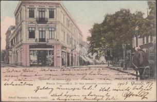 Galati, Strada Domneasca, parcului municipal / street, park, pharmacy (EK)