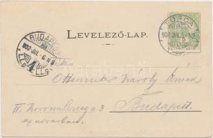 Tordai hasadék, Balika vára, Füssy és Sztupjár kiadása / castle