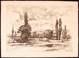 Artner F. jelzéssel: Táj szénagyűjtőkkel. Rézkarc, papír, jelzett, 39x27 cm