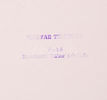 cca 1980 Pátzay Pál szobrászművész. Komáromi Gábor fotója. Filmvilág fotója 18x24 cm