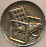 1980. "Tizenötödik Otthon Kiállítás" Br plakett (108mm) T:2