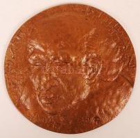 Fekete Tamás (1931-2007): Füst Milán. Bronz plakett, jelzett, d:11 cm